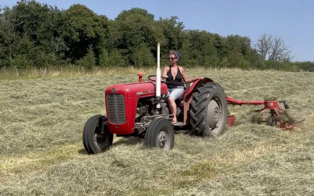 Make Hay Whilst the Sun Shines
