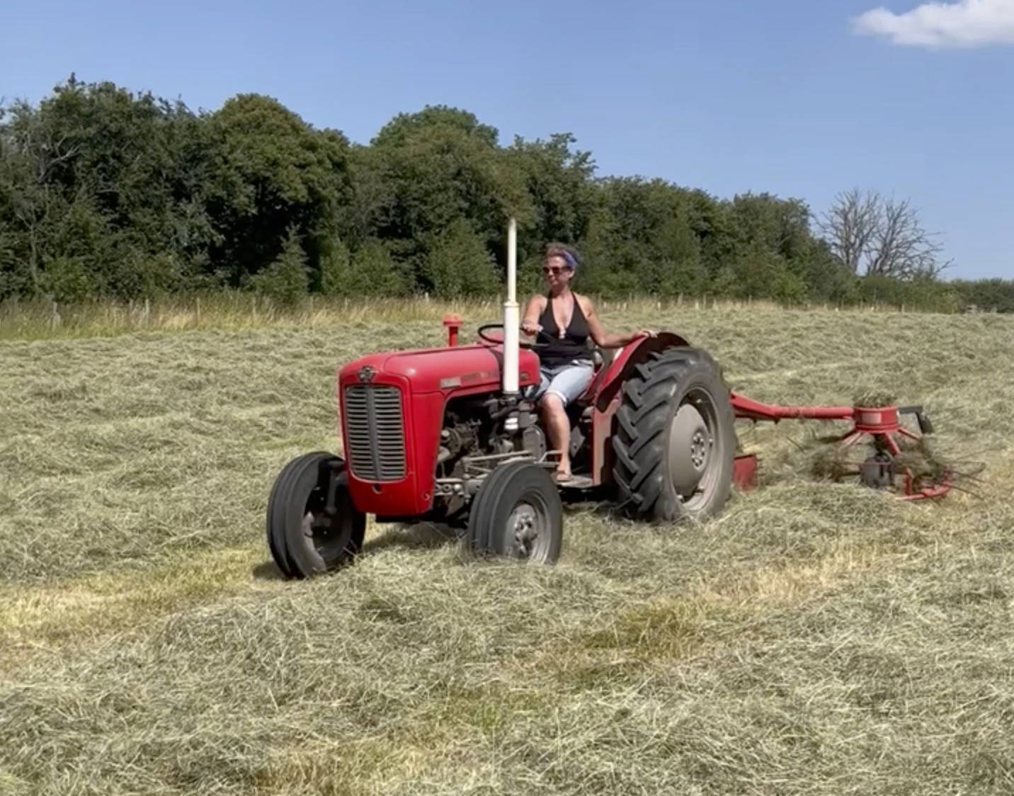 Make Hay Whilst the Sun Shines